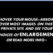 hover your mouse