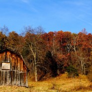 THE OLD BARN AND ME