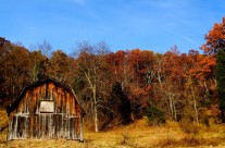 THE OLD BARN AND ME